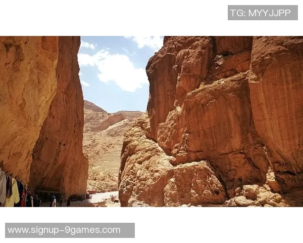 马里迪莫与托德拉的激烈对决谁能在这场比赛中脱颖而出 马里迪莫与托德拉的激烈对决谁能在这场比赛中脱颖而出