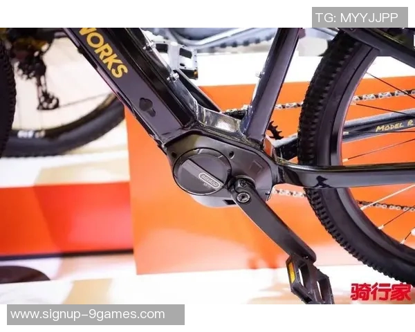 2023年中国体育品牌排行榜揭晓领军品牌与新兴力量的较量与发展分析